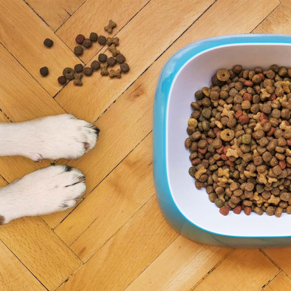 اینستاگرام 53