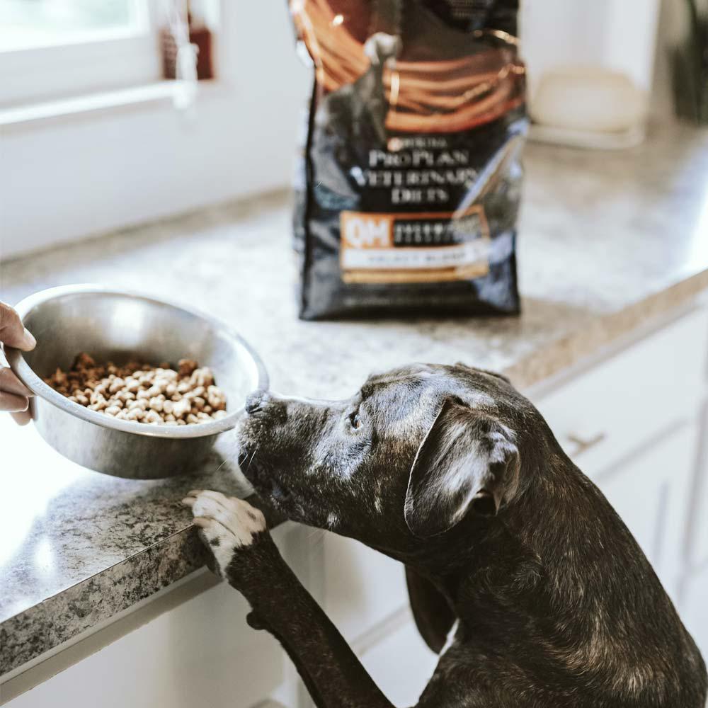 اینستاگرام 56