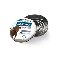 اسلایدر تصویر