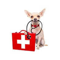 اسلایدر تصویر